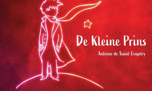 JeugdTheaterVestival: De Kleine Prins