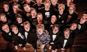 Eric Vloeimans en Licks & Brains